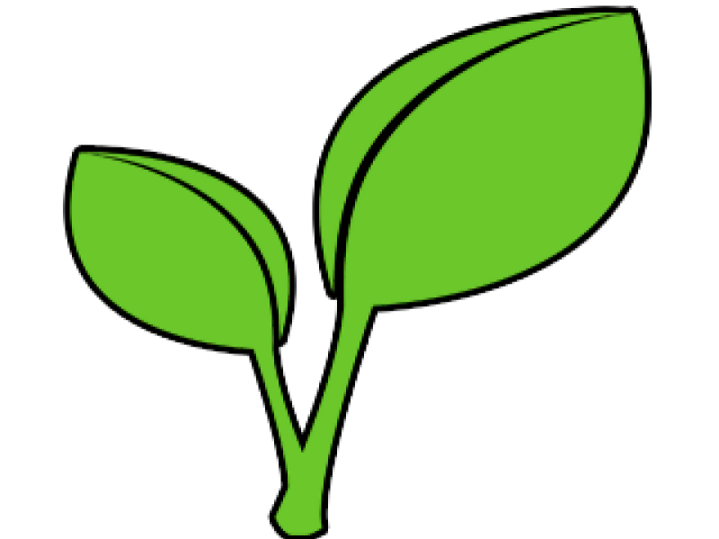 productos ecologicos naturpan productos ecologicos naturpan